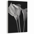 Elegant Lily Flower Art - Black and White Botanical Wall Decor | Lily Art Print