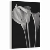 Elegant Lily Flower Art - Black and White Botanical Wall Decor | Lily Art Print