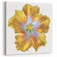 Vibrant Lily Flower Art - Pastel Botanical Wall Decor | Colorful Lily Print