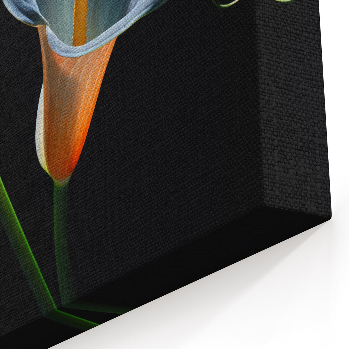 Blue and Orange Lily Flower Art - Botanical Wall Decor | Elegant Canvas Print