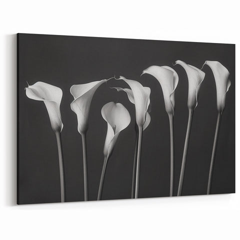 Minimalist Black and White Lily Flower Art | Botanical Wall Decor Print