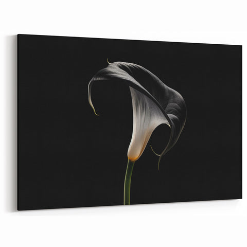 Dramatic Black Lily Flower Art - Minimalist Botanical Wall Decor Print