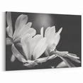 Magnolia Wall Art | Botanical Magnolia Print | White Magnolia Flower Canvas