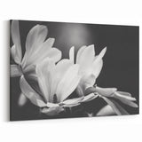 Magnolia Wall Art | Botanical Magnolia Print | White Magnolia Flower Canvas