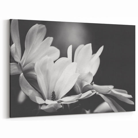 Magnolia Wall Art | Botanical Magnolia Print | White Magnolia Flower Canvas