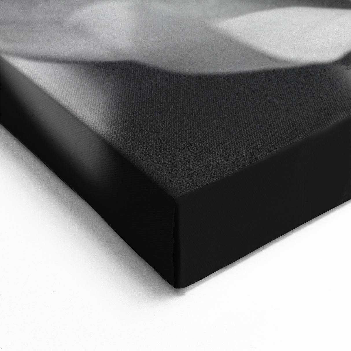 Magnolia Wall Art | Botanical Magnolia Print | White Magnolia Flower Canvas