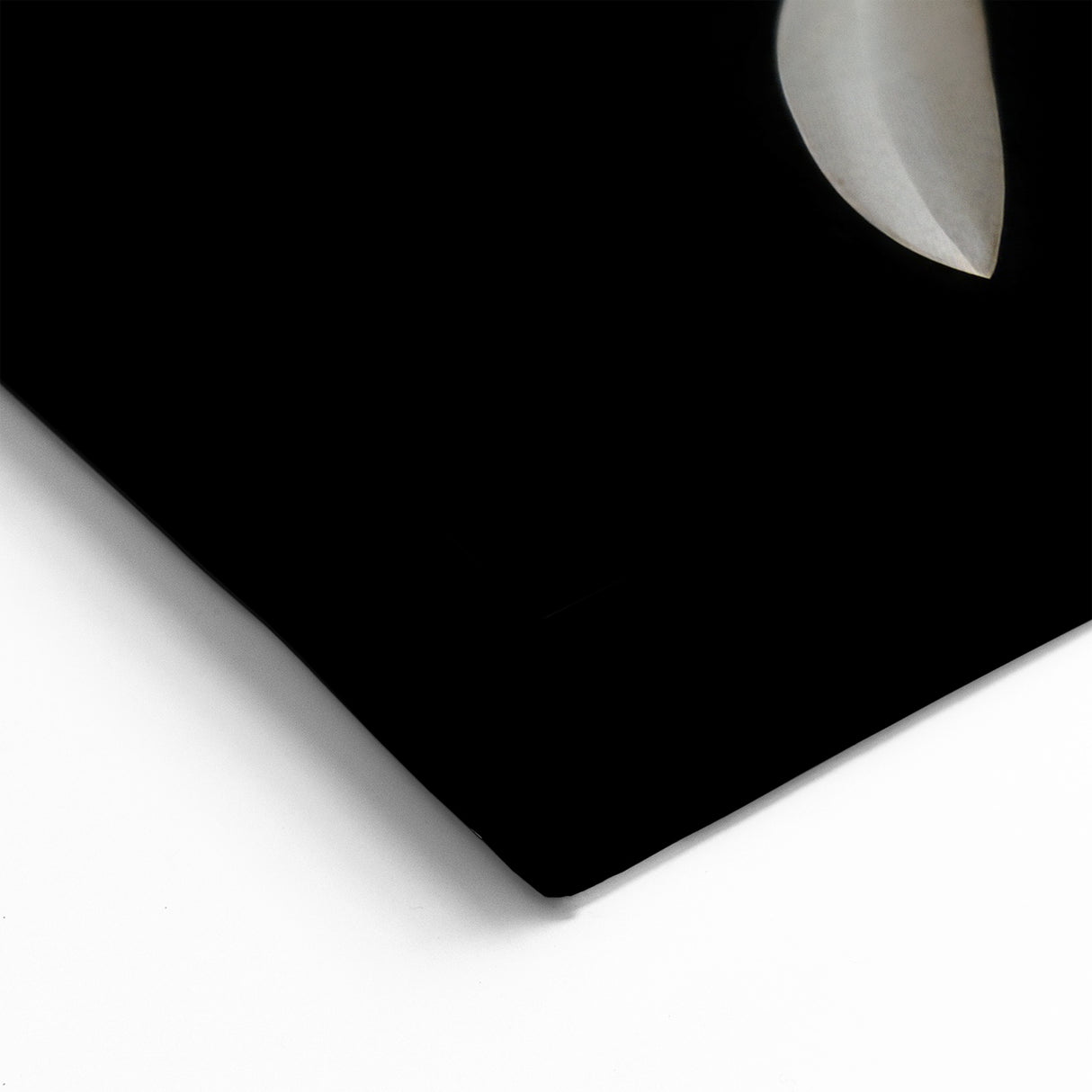 White Magnolia Bloom Wall Decor | Magnolia Flower Canvas | Elegant Art