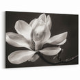 White Magnolia Flower Canvas | Southern Magnolia Art | Floral Wall Decor