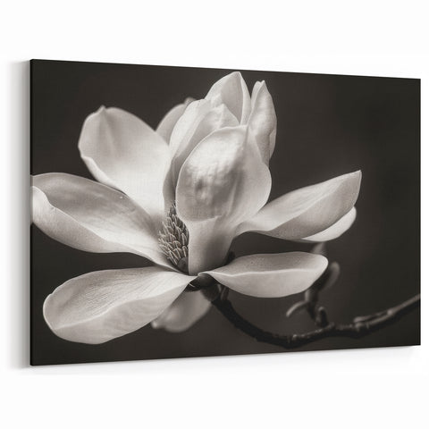 White Magnolia Flower Canvas | Southern Magnolia Art | Floral Wall Decor