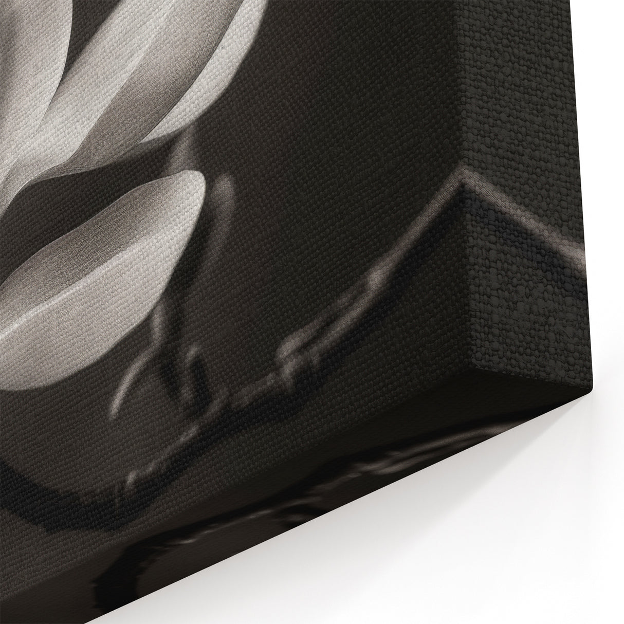 White Magnolia Flower Canvas | Southern Magnolia Art | Floral Wall Decor