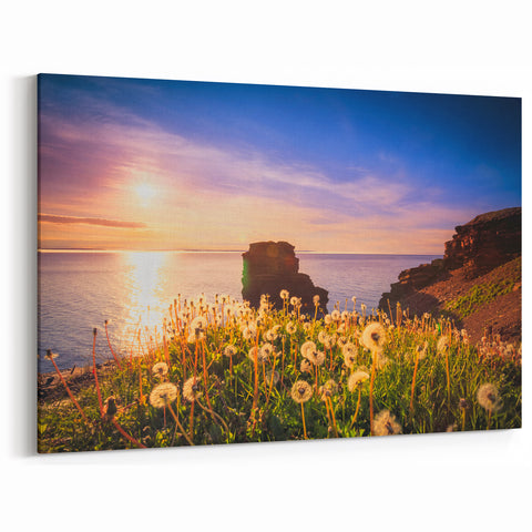 Golden Sunset Over Newfoundland Cliffs - Scenic Coastal Wall Art Print