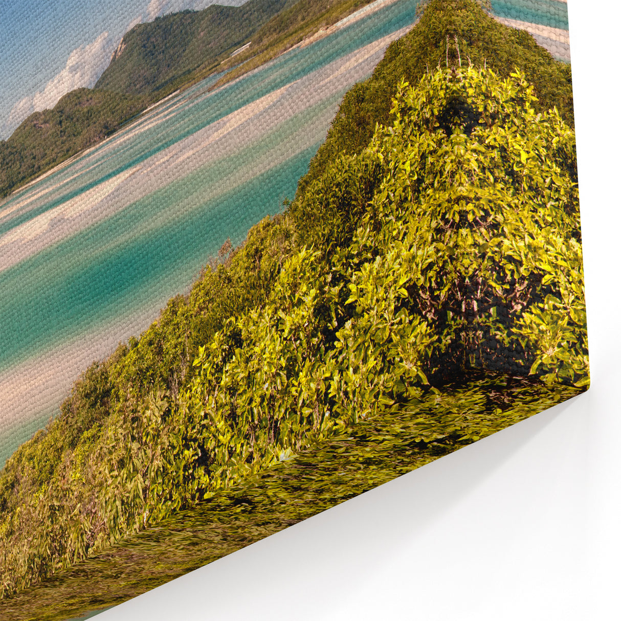 Great Barrier Reef Wall Art - Tropical Coral Reef Canvas Prints for Ocean Lovers