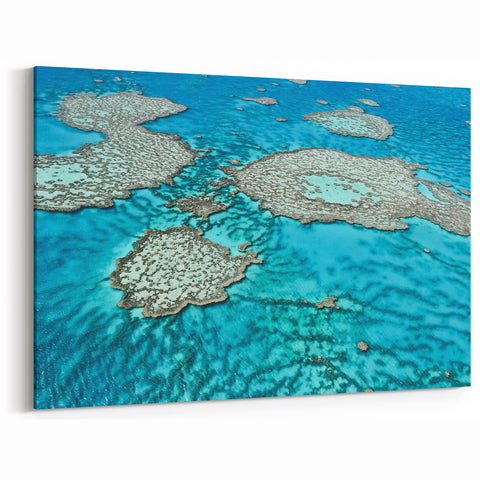 Great Barrier Reef Wall Art - Stunning Coral Reef Ocean Canvas Prints