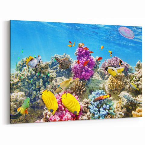 Underwater Coral Photography - Vibrant Great Barrier Reef Canvas Art