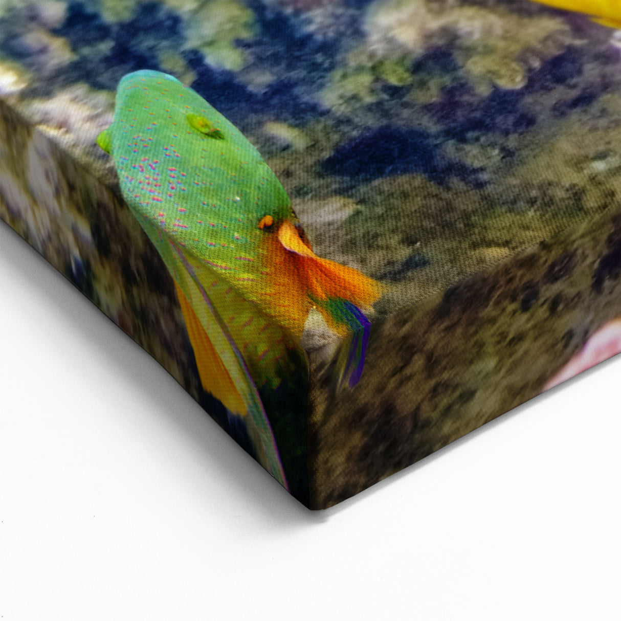 Underwater Coral Photography - Vibrant Great Barrier Reef Canvas Art