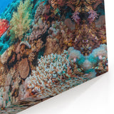 Australia Marine Life Art - Coral Reef Canvas Prints with Tropical Fish