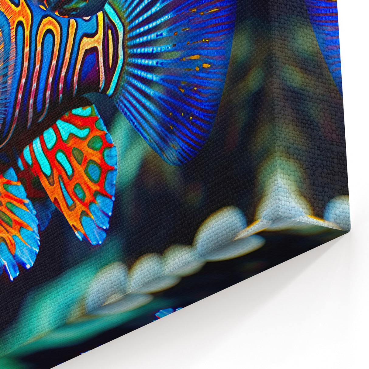 Tropical Fish Wall Art - Vibrant Coral Reef Canvas Prints from Australia