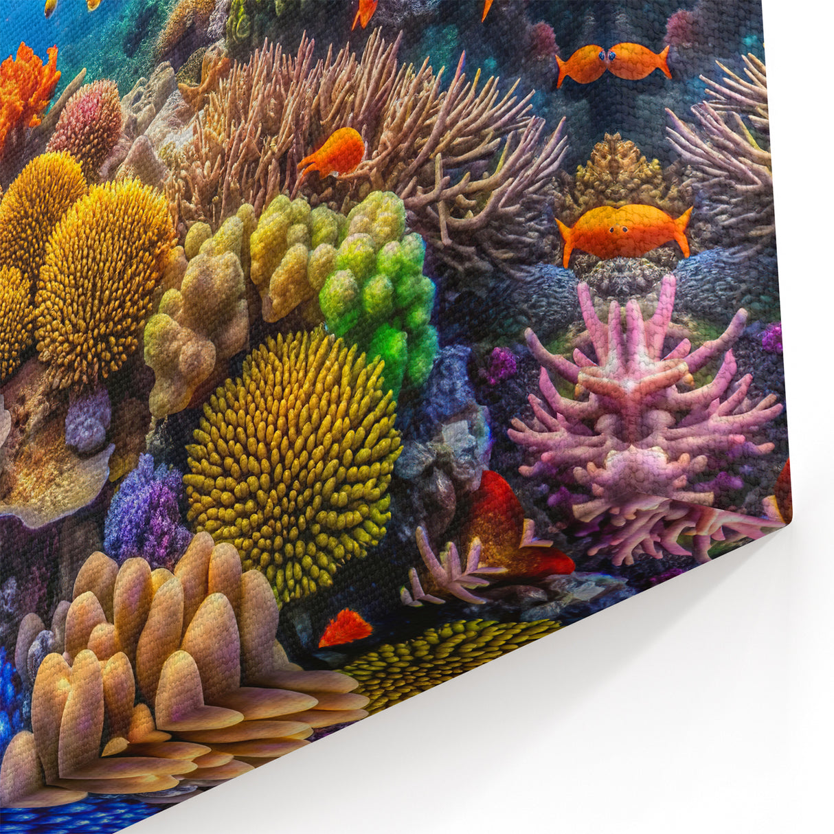 Vibrant Coral Reef Wall Art - Tropical Fish Canvas Prints from Australia