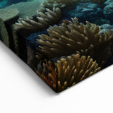 Sunset Over Coral Reef Wall Art - Great Barrier Reef Canvas Prints