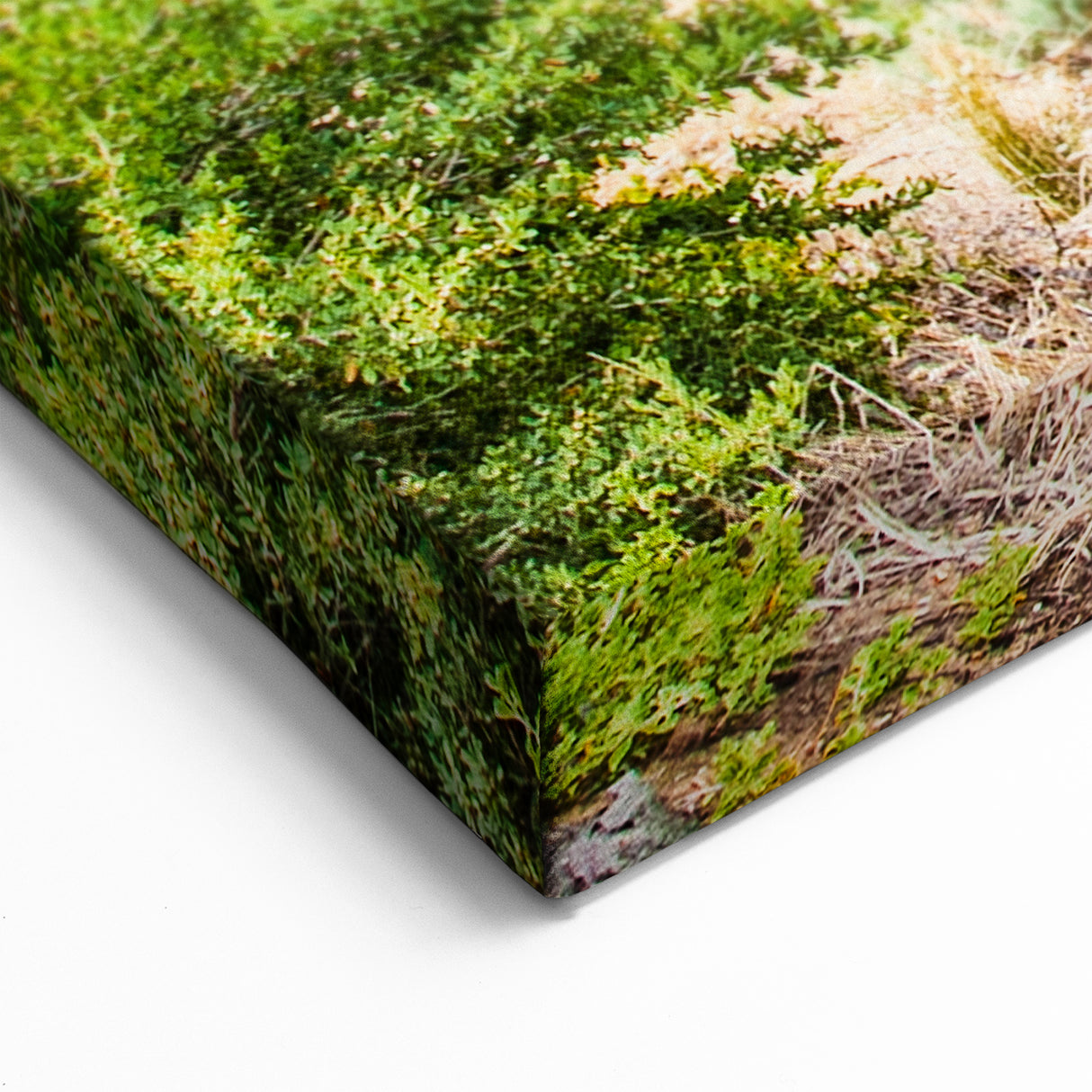 Brighton Beach Huts Wall Art - Vibrant Melbourne Seaside Canvas Print