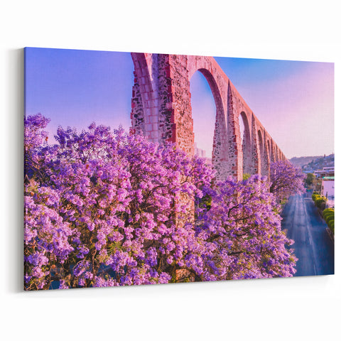 Guanajuato Wall Art - Aqueduct and Blossoms Canvas