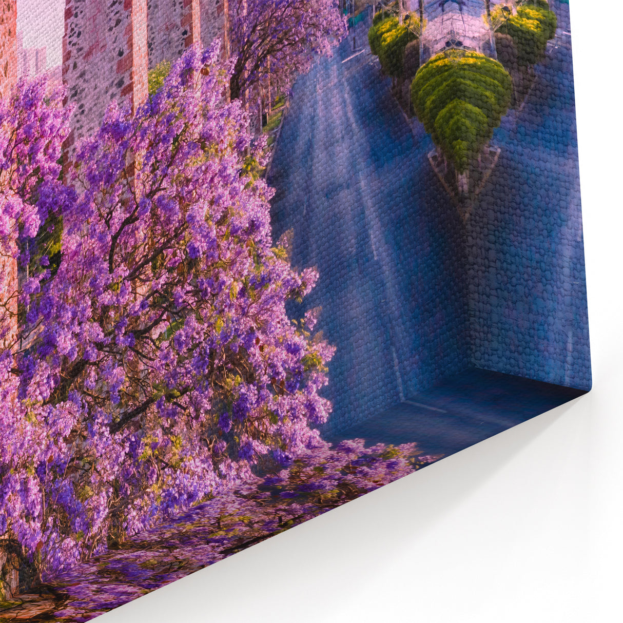 Guanajuato Wall Art - Aqueduct and Blossoms Canvas