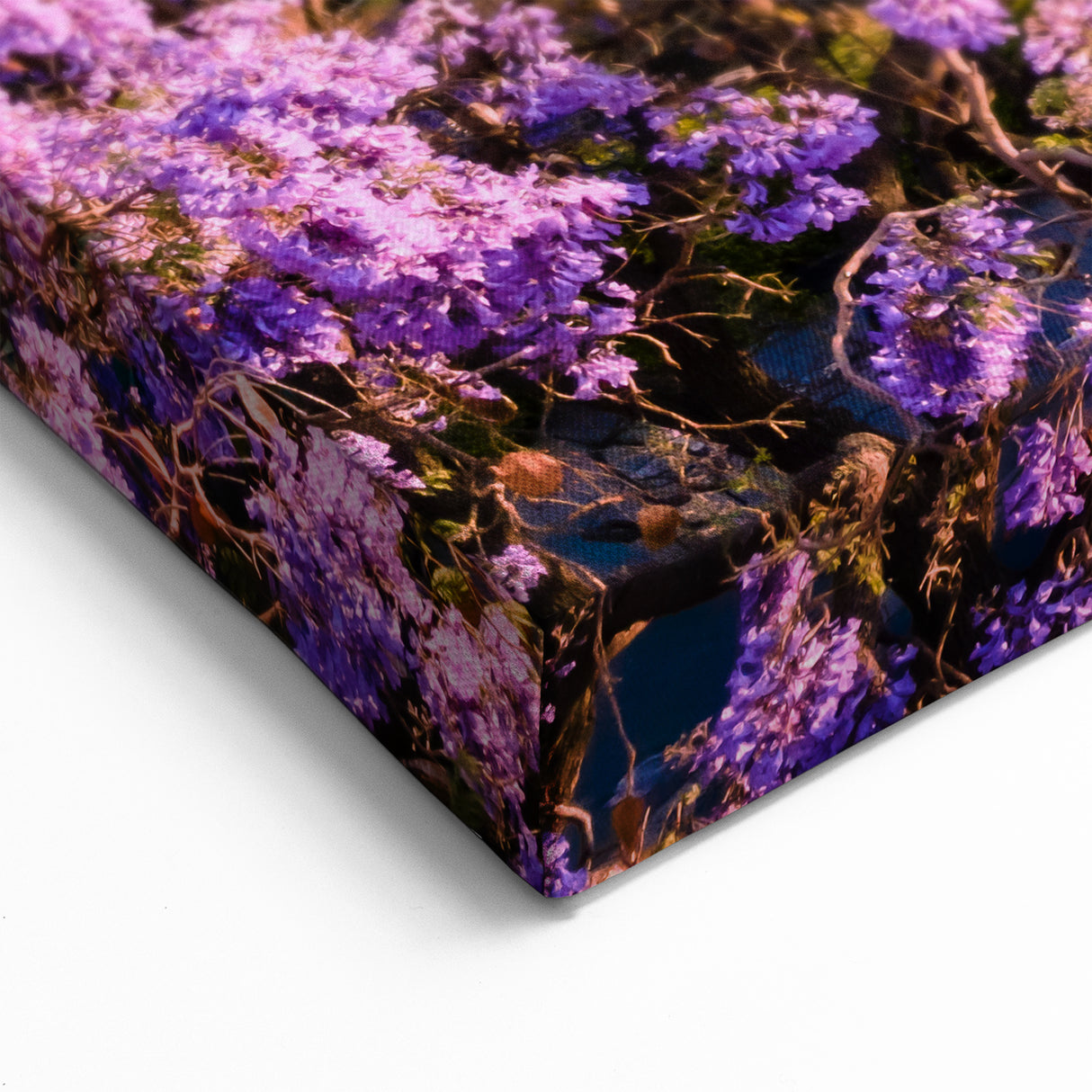 Guanajuato Wall Art - Aqueduct and Blossoms Canvas