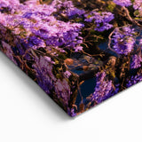 Guanajuato Wall Art - Aqueduct and Blossoms Canvas