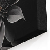 Modern Monochrome Poinsettia Wall Art - Black and White Botanical Decor