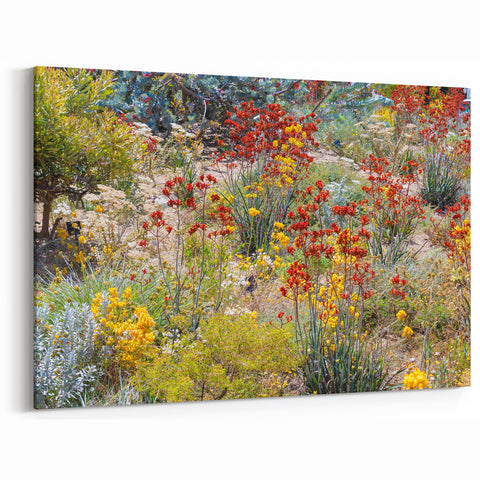 Perth Wall Art - Vibrant Wildflowers Perth Nature Scene Canvas Print