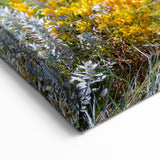 Perth Wall Art - Vibrant Wildflowers Perth Nature Scene Canvas Print