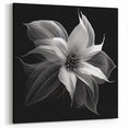 Elegant White Poinsettia Wall Art - Modern Botanical Black and White Decor