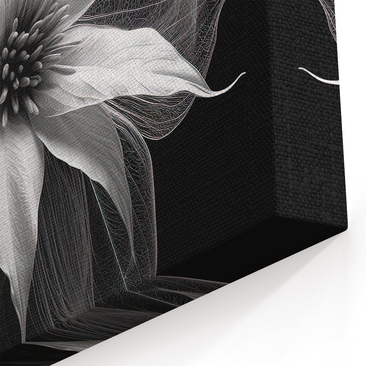 Elegant White Poinsettia Wall Art - Modern Botanical Black and White Decor