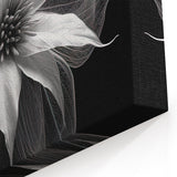 Elegant White Poinsettia Wall Art - Modern Botanical Black and White Decor