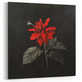 Striking Red Poinsettia Wall Art - Botanical Christmas Flower Canvas Decor