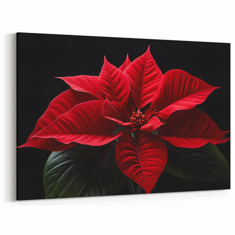 Vibrant Red Poinsettia Wall Art - Bold Botanical Holiday Canvas Decor