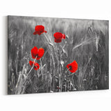 Vibrant Red Poppy Flower Canvas – Modern Botanical Poppy Wall Art Print