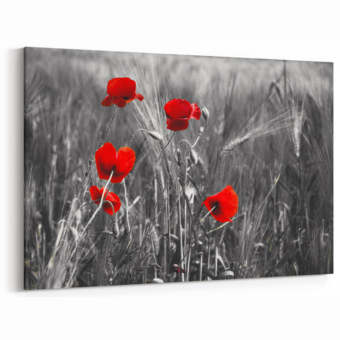 Vibrant Red Poppy Flower Canvas – Modern Botanical Poppy Wall Art Print