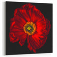 Bold Red Poppy Blossom Canvas – Modern Floral Wall Art for Home Decor
