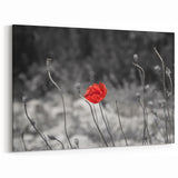 Minimalist Red Poppy Flower Art – Botanical Wall Art for Modern Homes