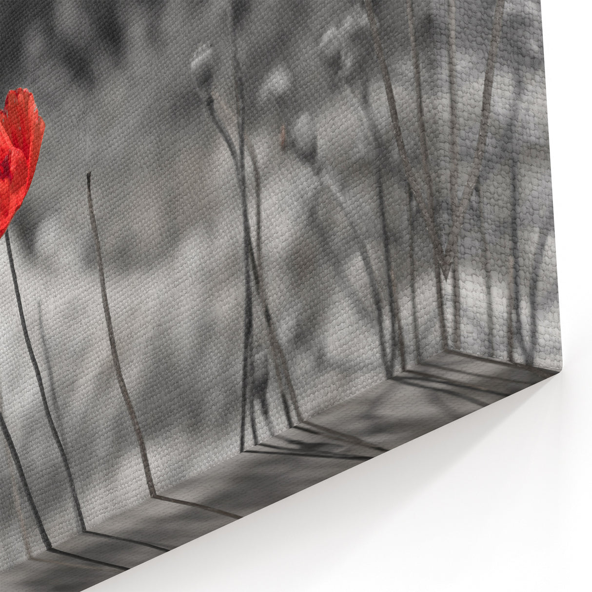 Minimalist Red Poppy Flower Art – Botanical Wall Art for Modern Homes