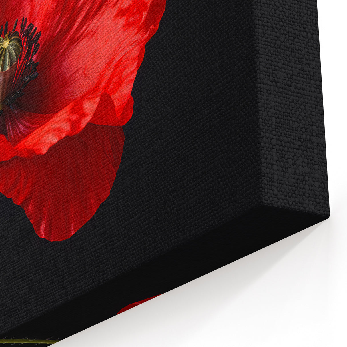 Striking Red Poppy Blossom Wall Art – Modern Floral Botanical Canvas