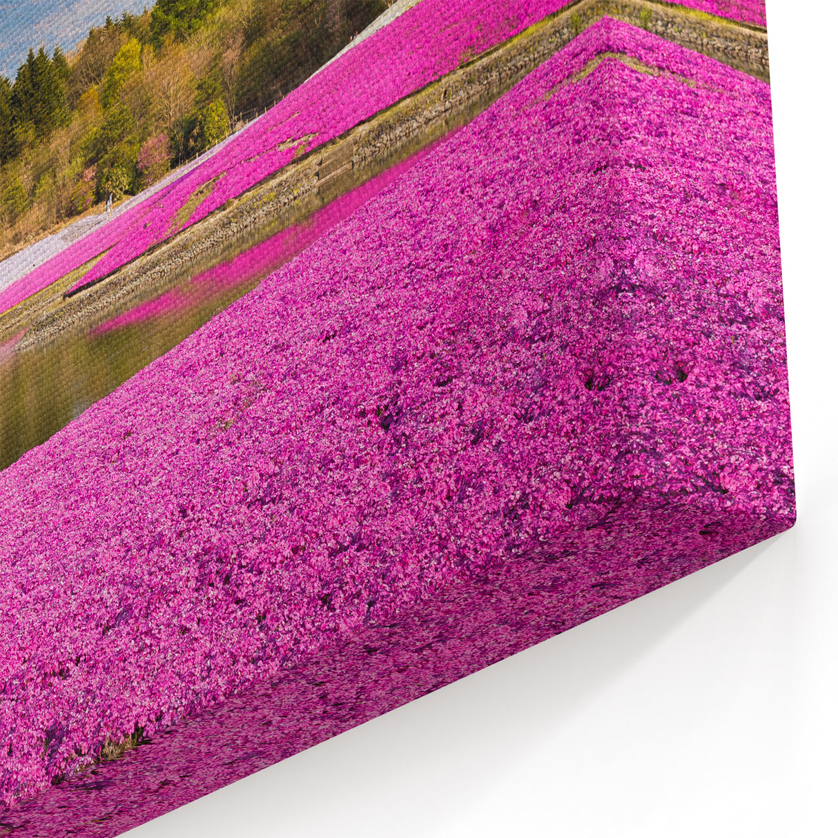 Vibrant Mount Fuji Canvas - Japanese Scenic Art for Home Decor