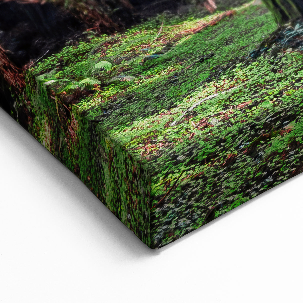 Majestic Redwood Trees Wall Art - California Forest Landscape Canvas Print