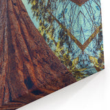 Towering Redwood Tree Art - Majestic California Forest Photography Print