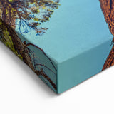 Towering Redwood Tree Art - Majestic California Forest Photography Print