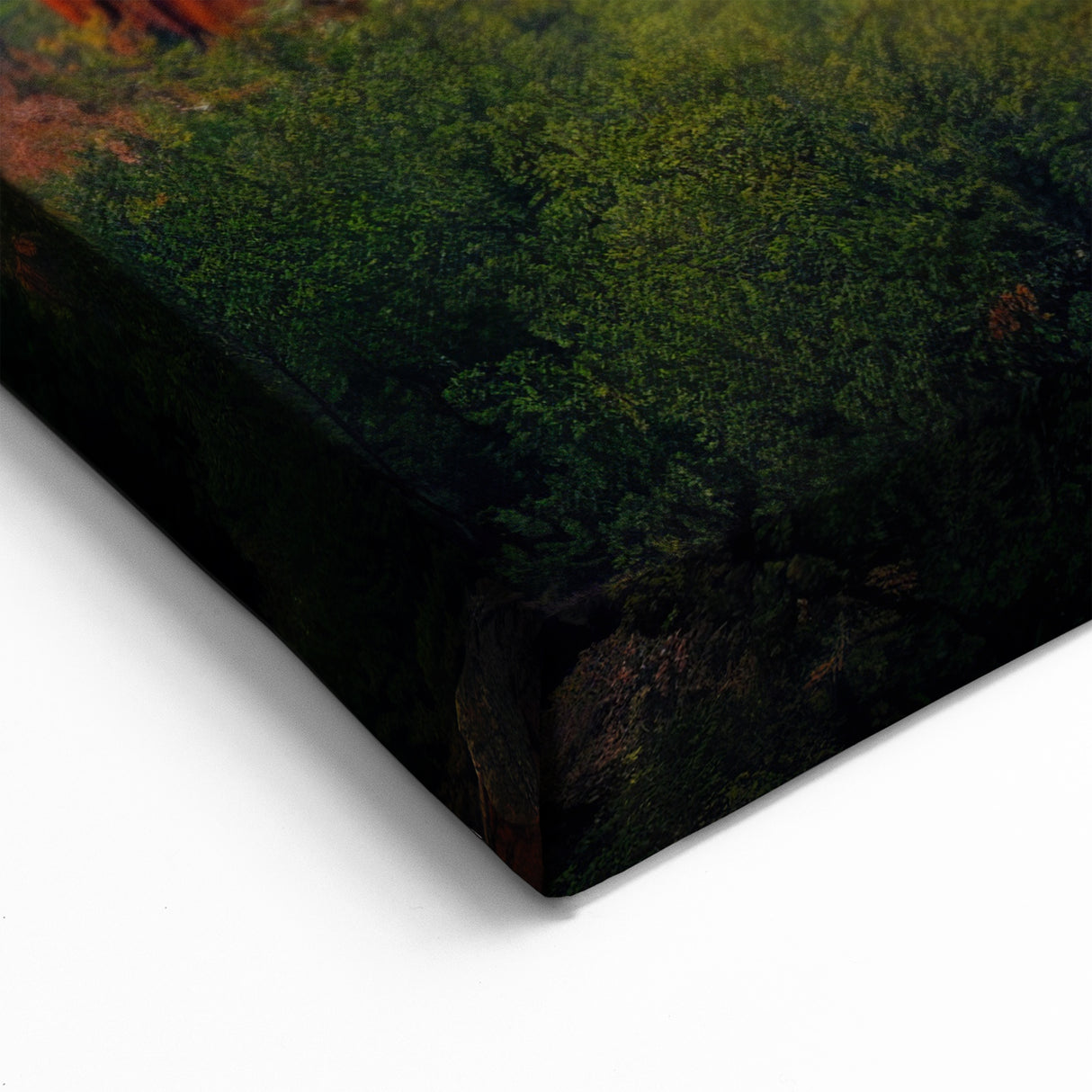 Misty Redwood Forest Wall Art - Sequoia Trees Canvas Print Landscape
