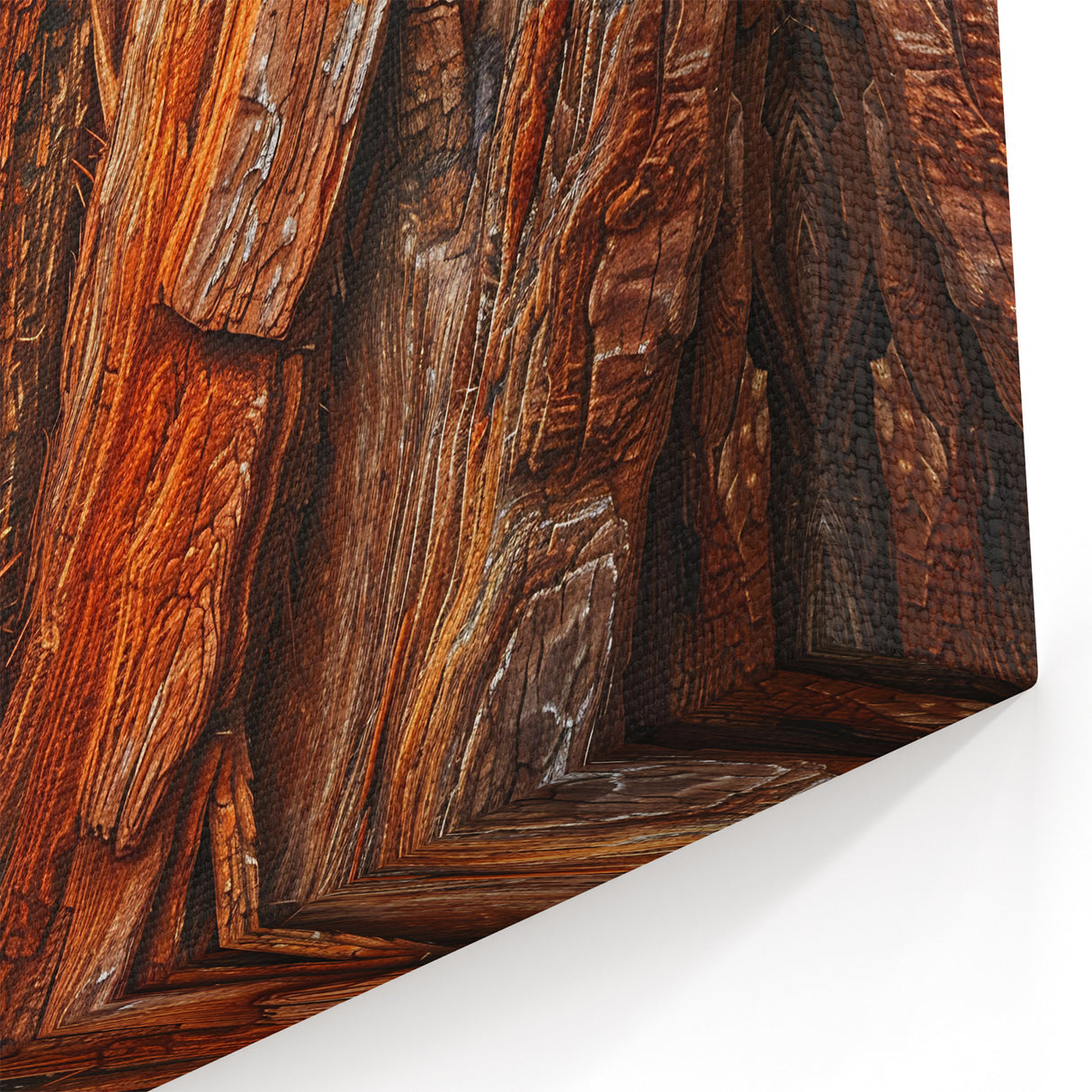 Redwood Tree Bark Texture Art - Natural Sequoia Close-Up Canvas Print