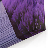 Perth Lavender Field Print - Australia Wall Art Scenic Perth Landscape