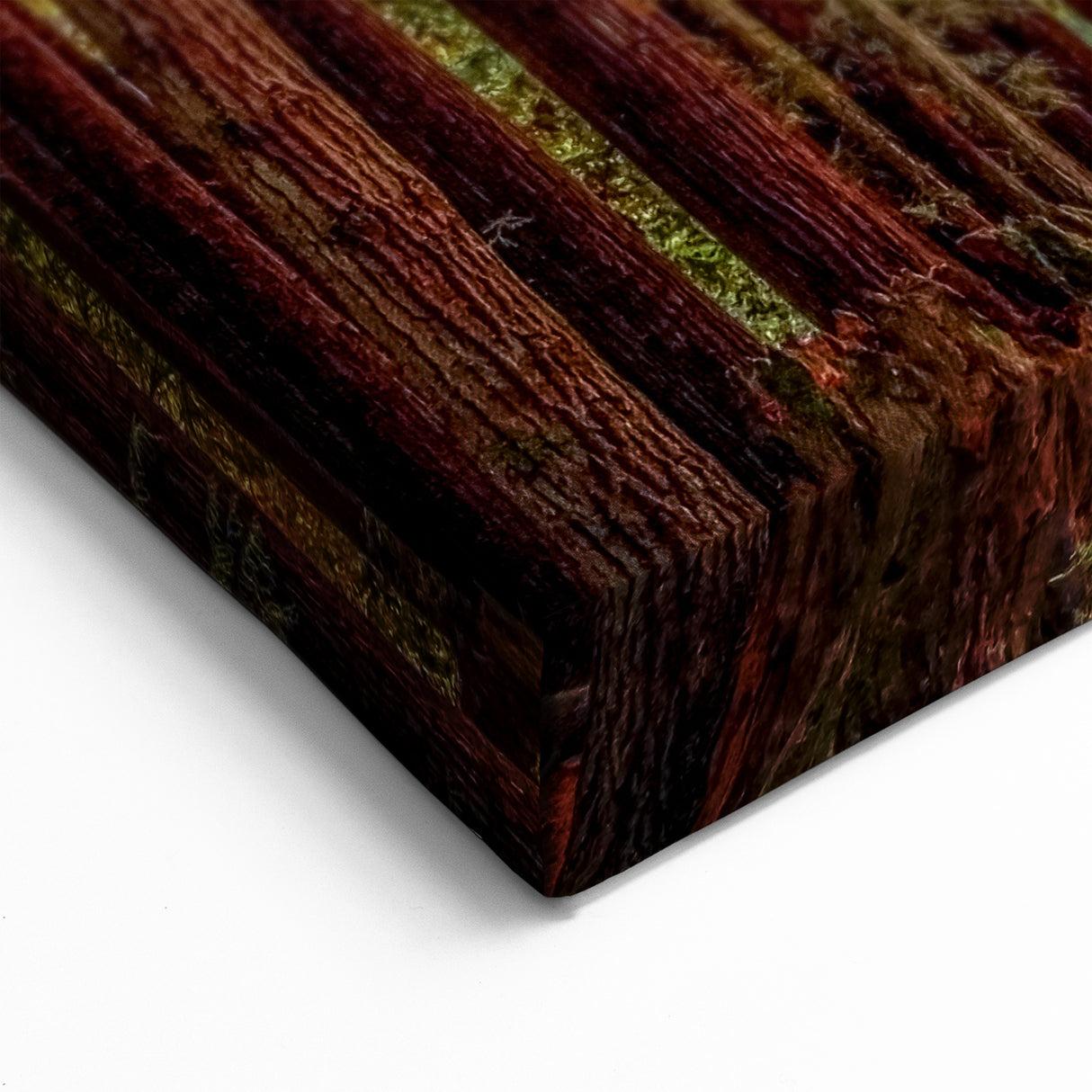 Redwood Forest Sunlight Wall Art - Serene California Trees Canvas Print